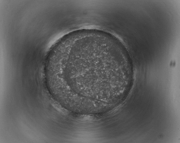 X0000112361263200909241117