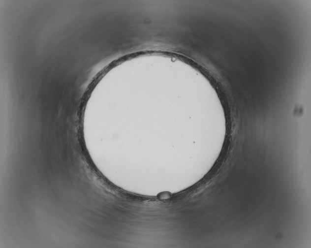 X0000112361264200909241117
