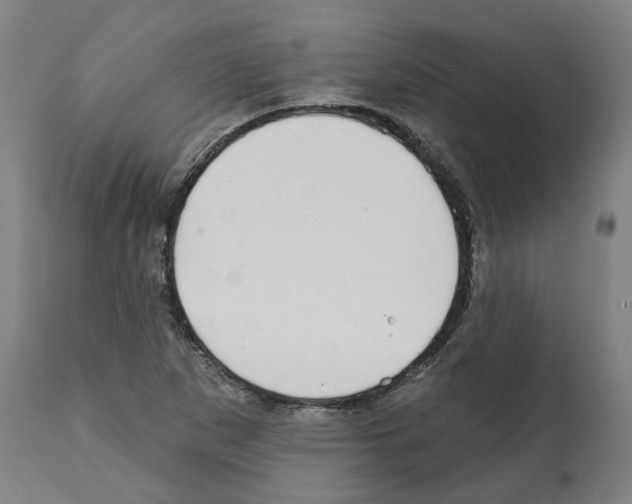 X0000112361265200909241117