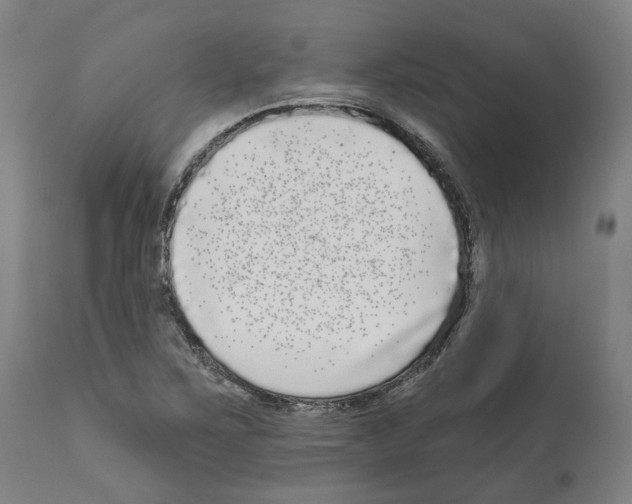 X0000112361267200909241117