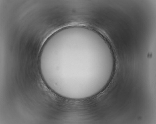 X0000112361268200909241117
