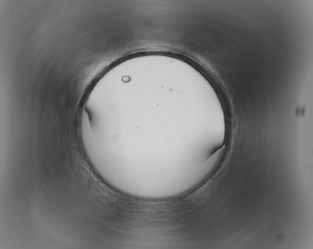 X0000112361269200909241117