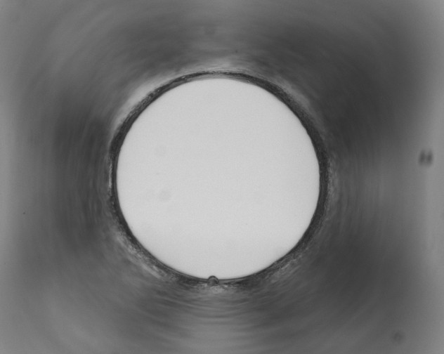 X0000112361270200909241117