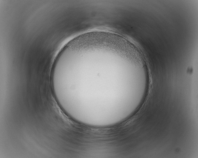 X0000112361272200909241117