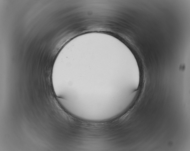 X0000112361273200909241117