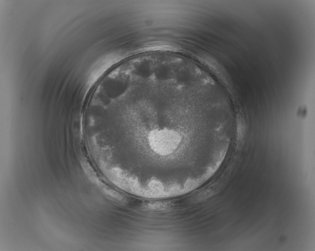 X0000112361274200909241117