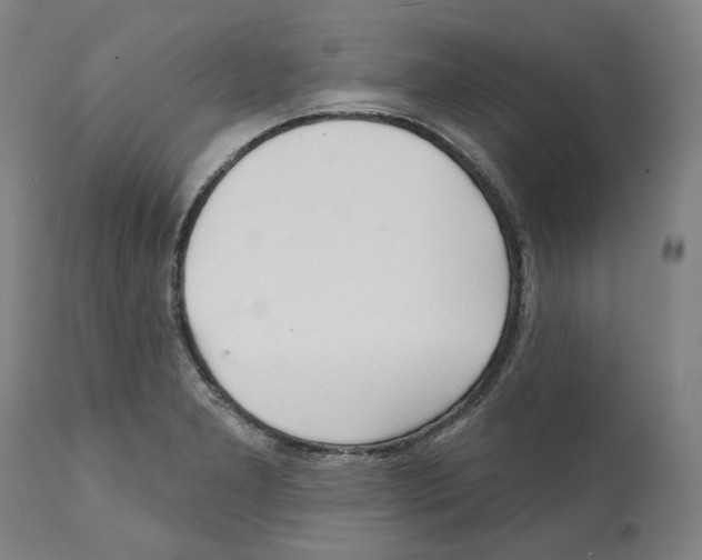 X0000112361277200909241117