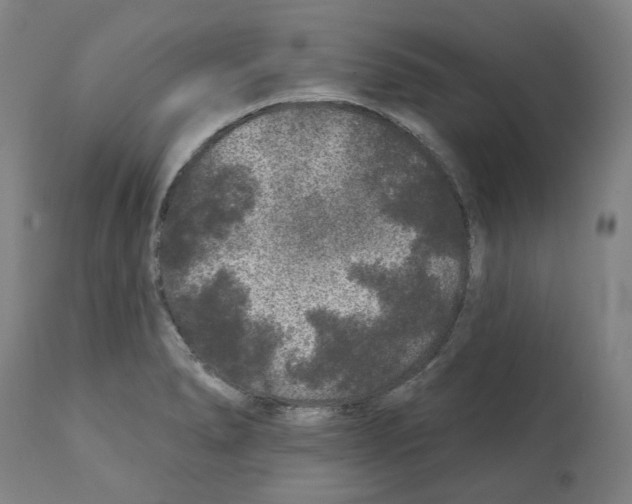 X0000112361278200909241117