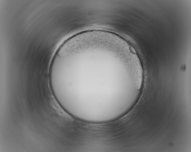 X0000112361280200909241117