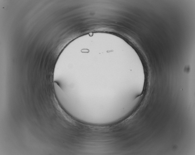 X0000112361281200909241117