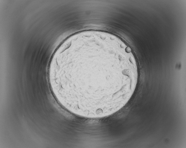 X0000112361283200909241117