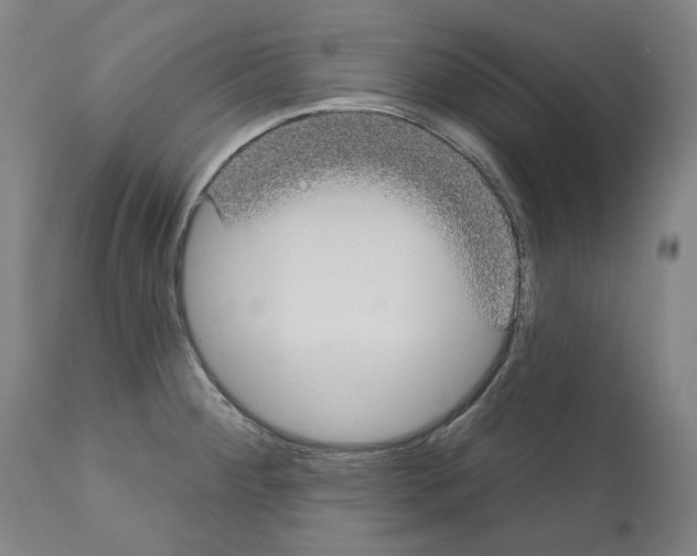 X0000112361284200909241117