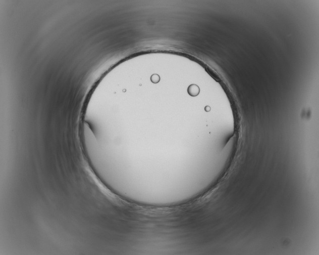 X0000112361285200909241117