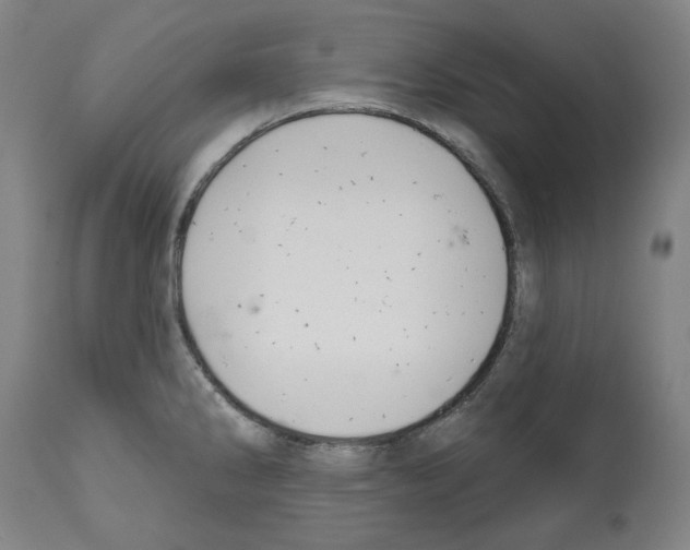 X0000112361286200909241117