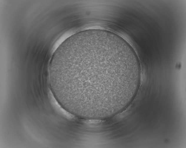 X0000112361290200909241117