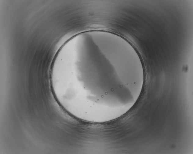X0000112361291200909241117