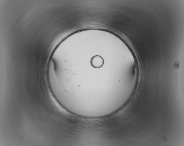 X0000112361293200909241117