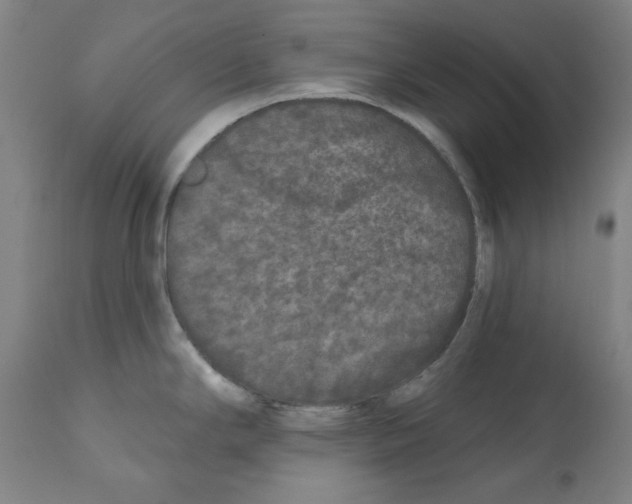 X0000112361294200909241117
