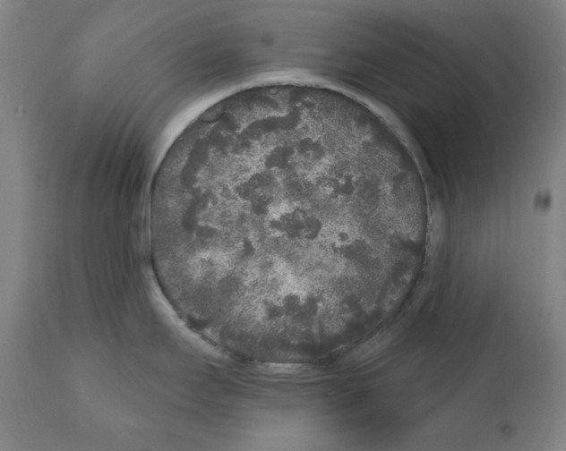 X0000112361295200909241117