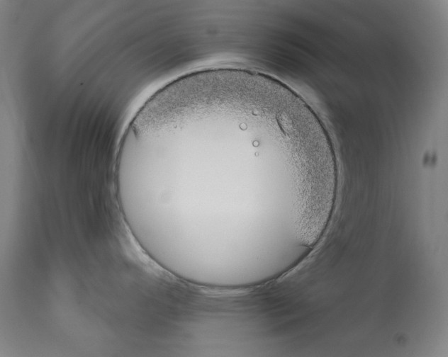 X0000112361296200909241117