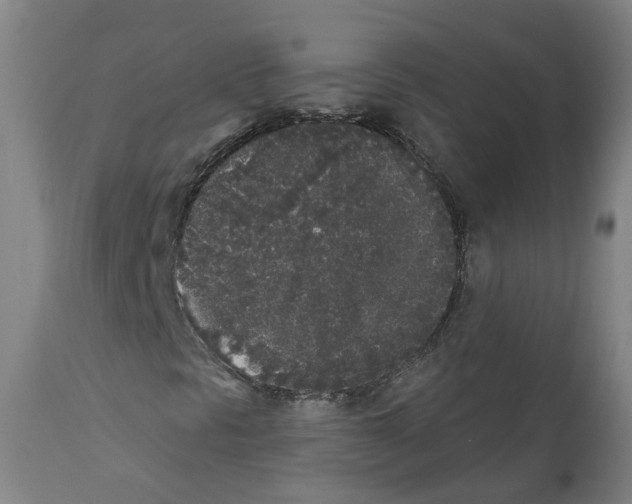 X0000112361297200909241116