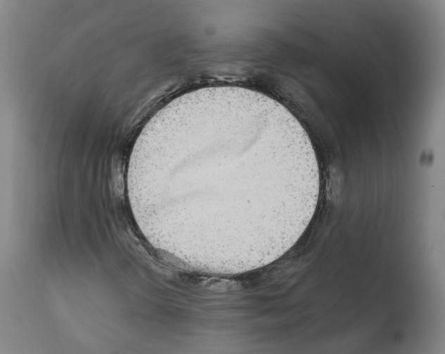 X0000112361298200909241116