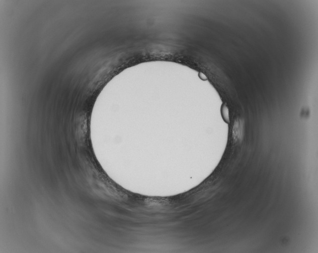 X0000112361299200909241116