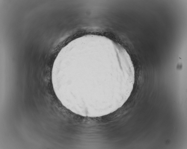 X0000112361301200909241116