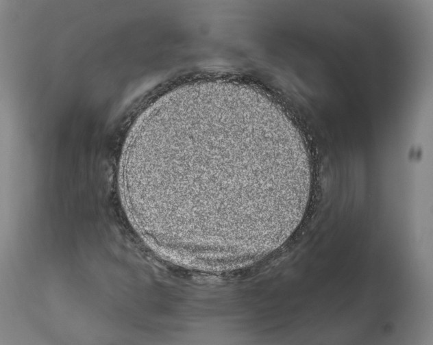X0000112361302200909241116