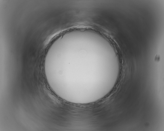 X0000112361304200909241116