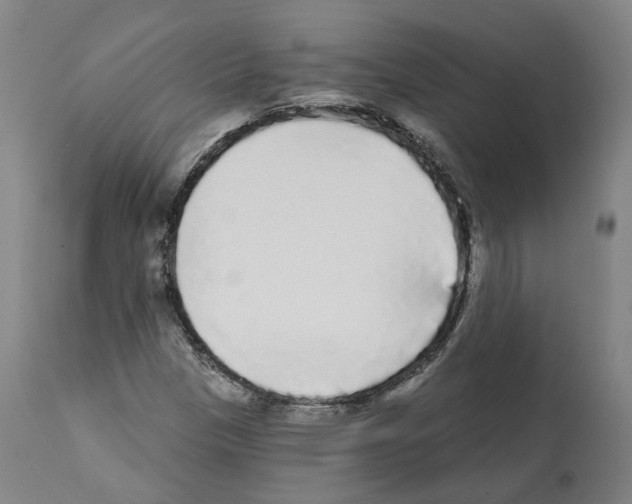 X0000112361305200909241116