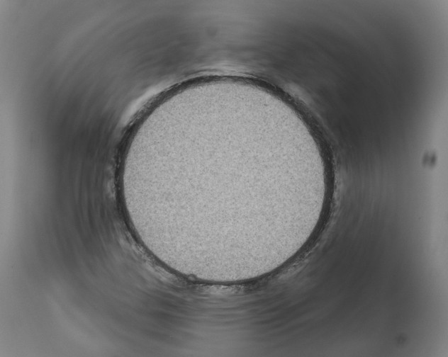 X0000112361307200909241116
