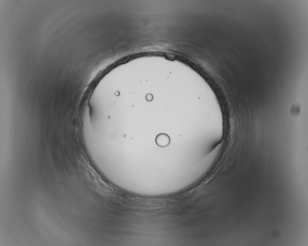 X0000112361308200909241116