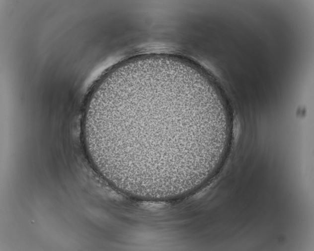 X0000112361309200909241116