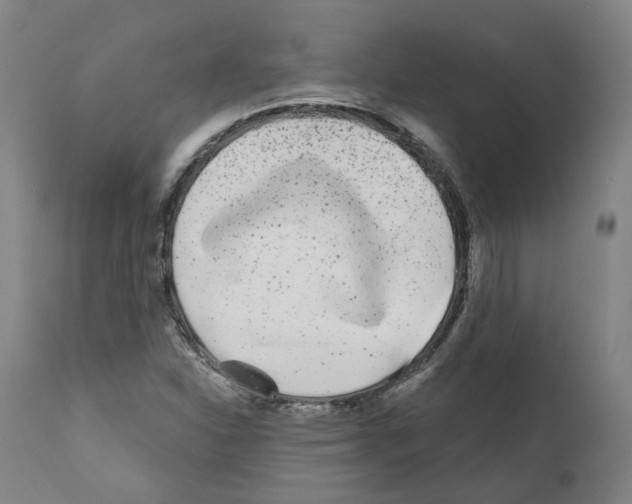 X0000112361310200909241116
