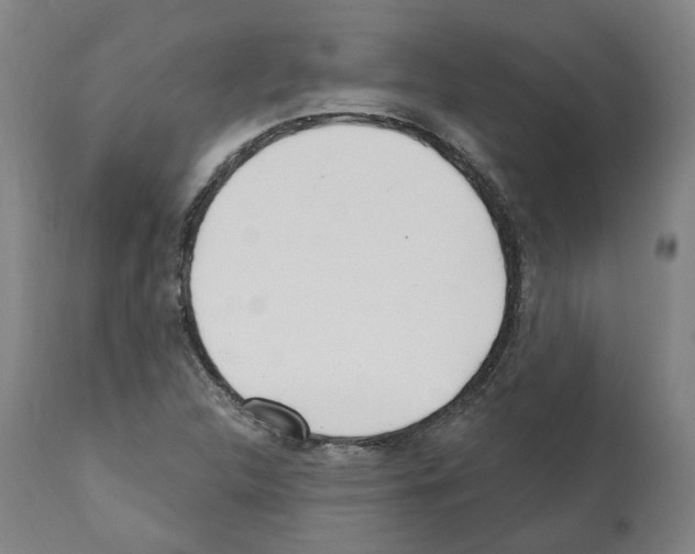 X0000112361312200909241116