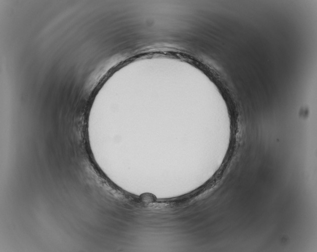 X0000112361313200909241116