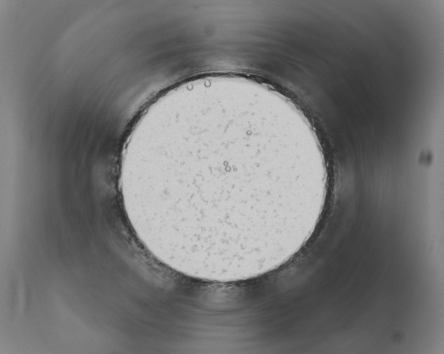 X0000112361314200909241116
