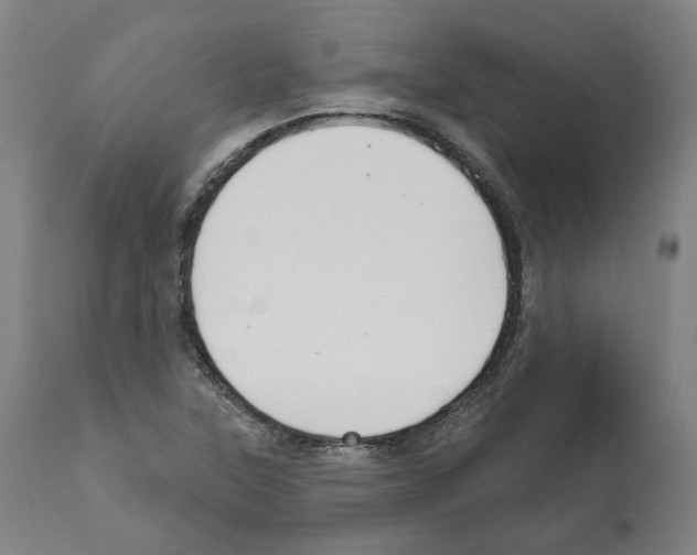 X0000112361315200909241116