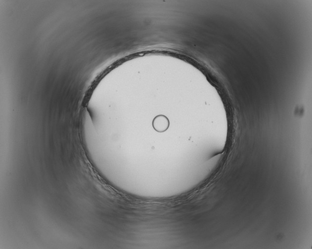 X0000112361316200909241116