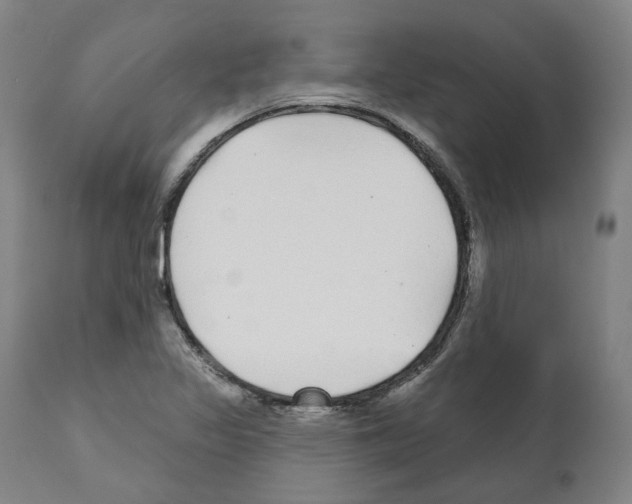 X0000112361317200909241116