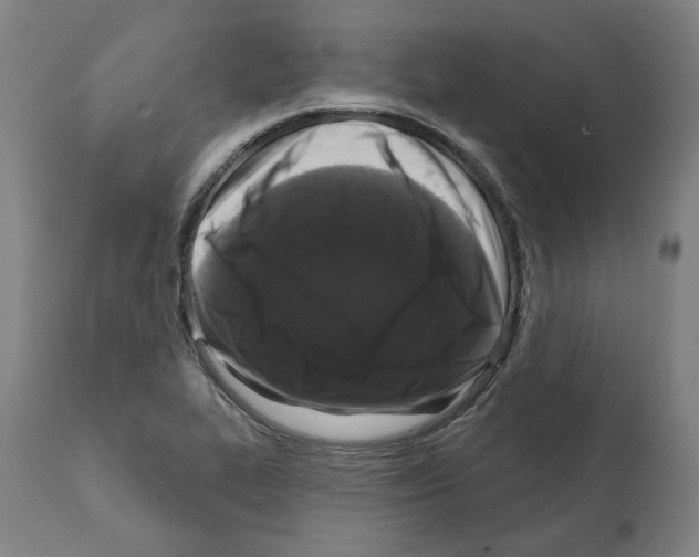 X0000112361319200909241116
