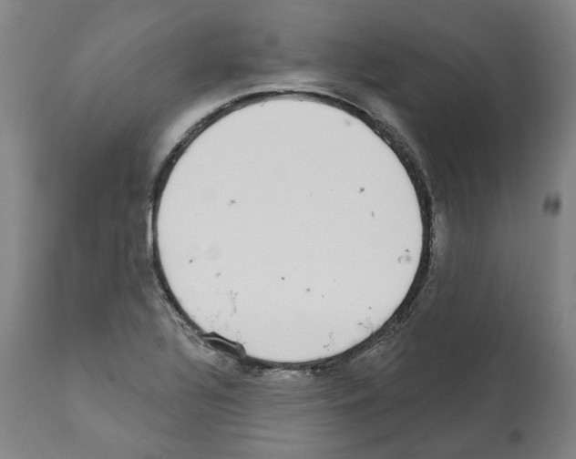 X0000112361320200909241116