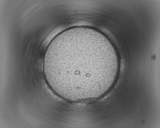 X0000112361321200909241116