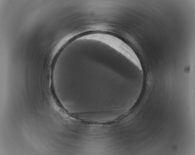 X0000112361323200909241116