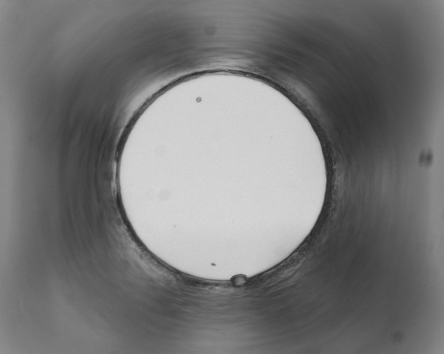 X0000112361324200909241116
