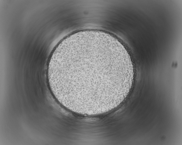 X0000112361325200909241116