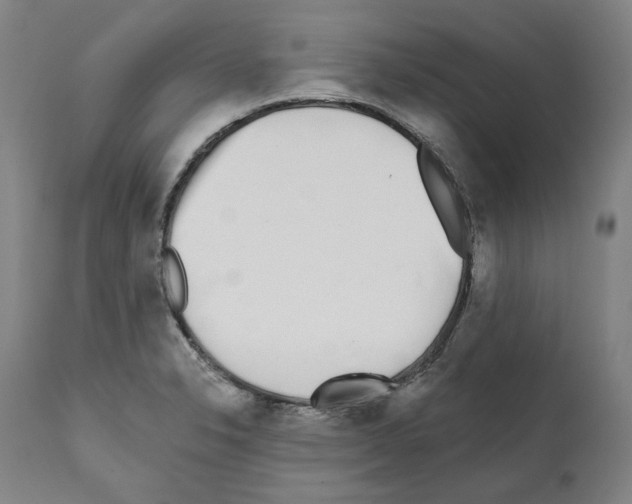 X0000112361326200909241117