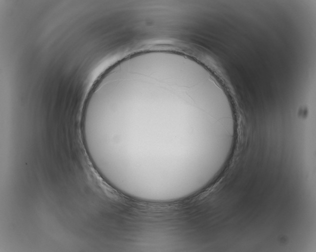 X0000112361328200909241117