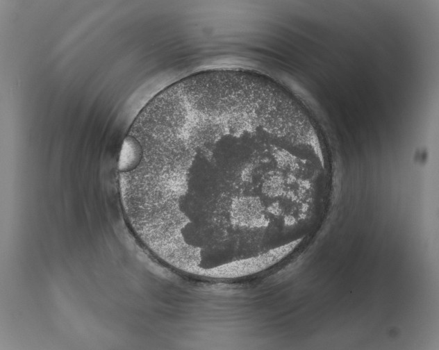 X0000112361329200909241117